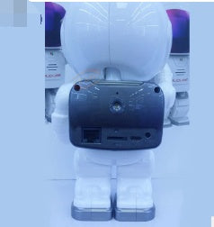 Astronaut Robot Wireless Wifi IP Camera