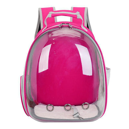 Solid color transparent pet cat bag portable bag