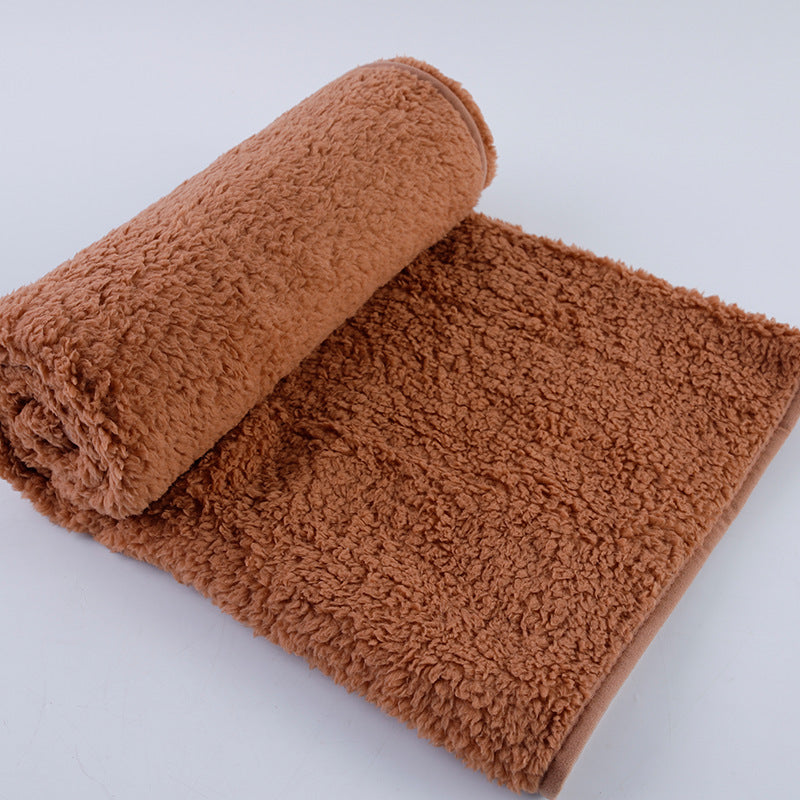 Thick plush comfortable pet blanket